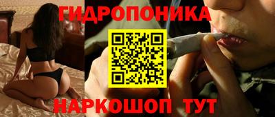 стафф Краснознаменск