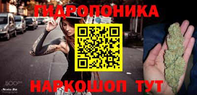 эйфоретик Краснодар