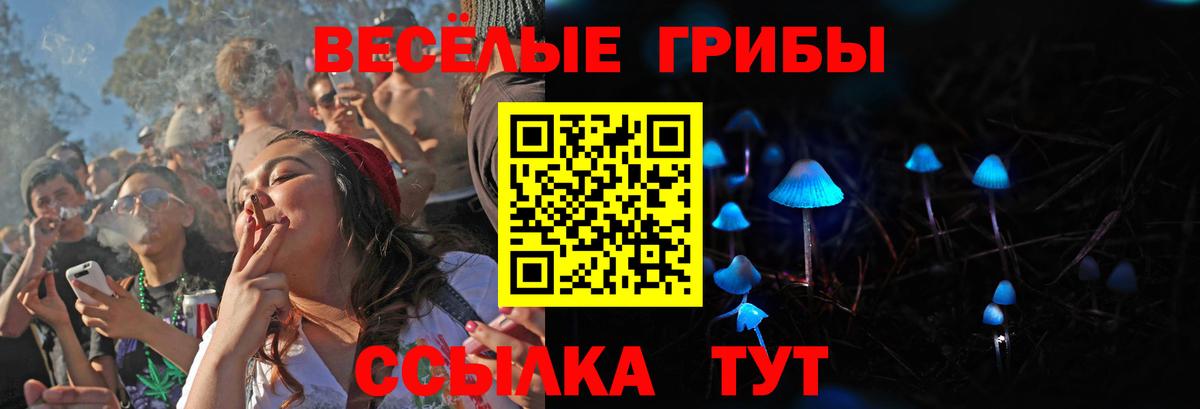 Галлюциногенные грибы мицелий Зима